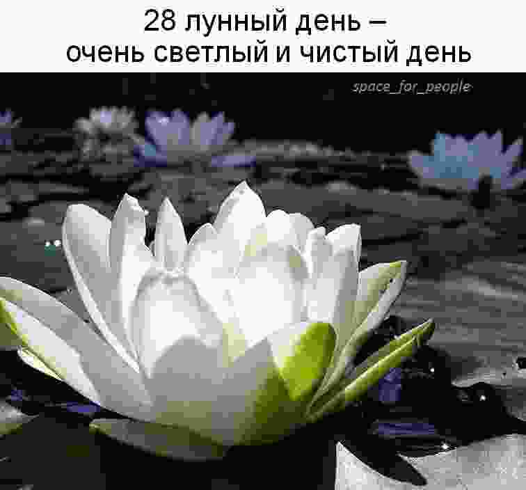 28-lunnyj-den-c-0348-po-0521-simvol-lotos-kamni-aragonit-hrizopraz.jpg