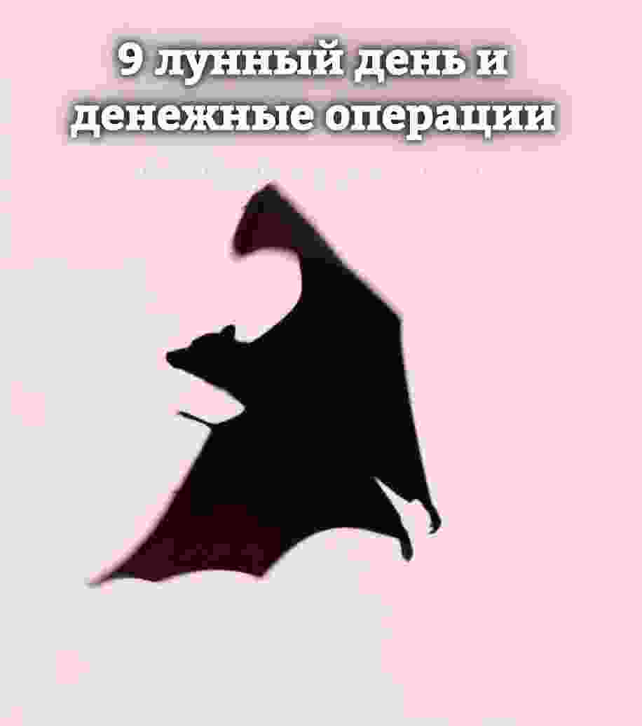 9-lunnyj-den-c-1627-i-do-1706-lyubye-operaczii-svyazannye-s-dengami-postarajtes.jpg