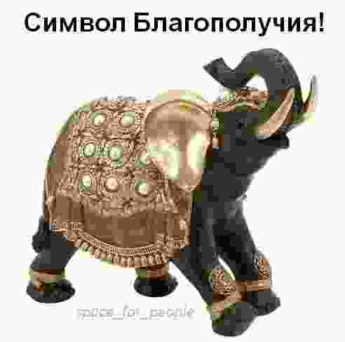 slon-sluzhit-v-indii-kitae-i-afrike-emblemoj-czarskoj-vlasti-i-simvoliziruet-kachestva-neobhodimye.jpg