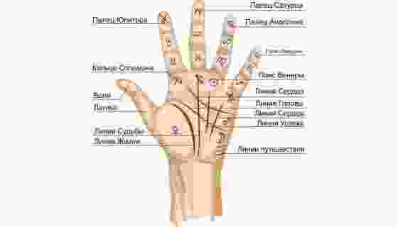 kresty-na-ruke-ih-opisanie-i-znachenie-v-hiromantii-krest-na-ladoni-v-hiromantii.jpg