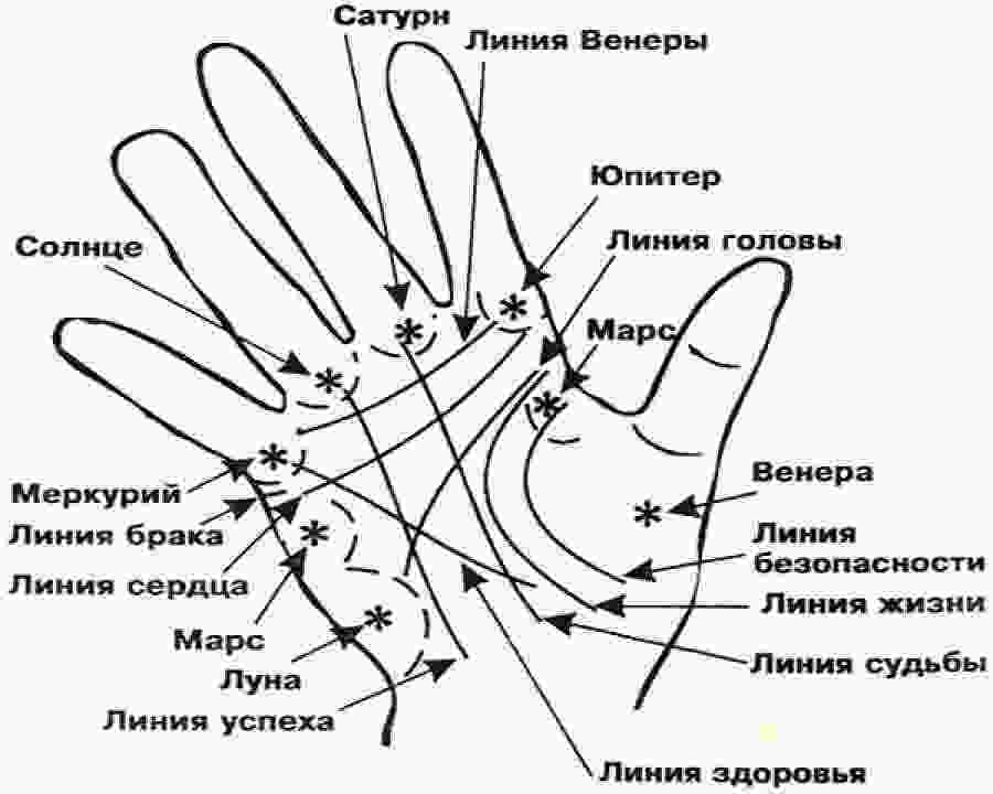 linii-na-ruke-znachenie-opisanie-kazhdaya-liniya-tochka-chertochka-na-ladoni-nesut-v.jpg