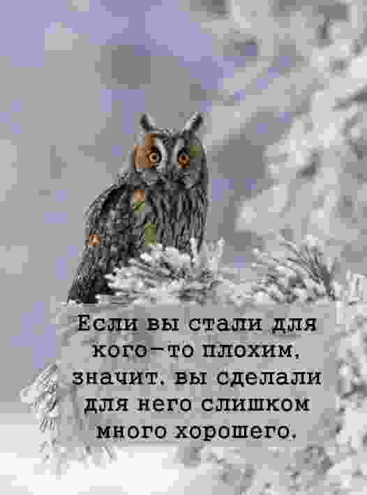 mudrost-dnya-dlya-telczov-dev-kozerogov.jpg