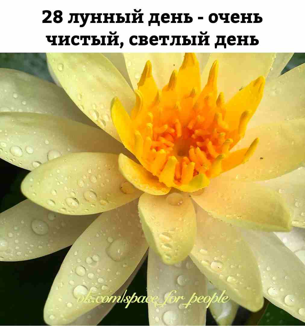 28-lunnyj-den-c-0549-10-aprelya-2021-do-0558-11-aprelya-2021-simvol.jpg