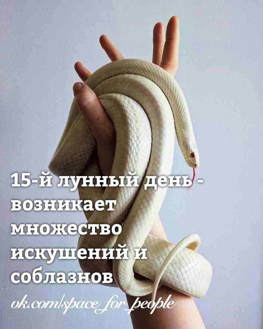 15-lunnyj-den-c-1721-25-aprelya-2021-i-do-sleduyushhego-dnya-simvol.jpg