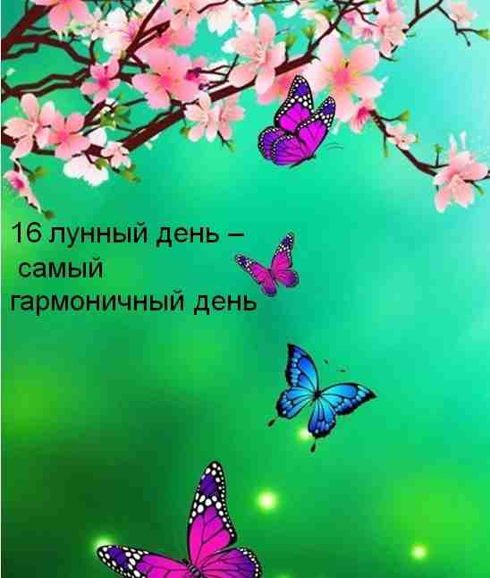 16-lunnyj-den-c-1854-po-2032-simvol-golub-babochka-kamni-shpinel.jpg
