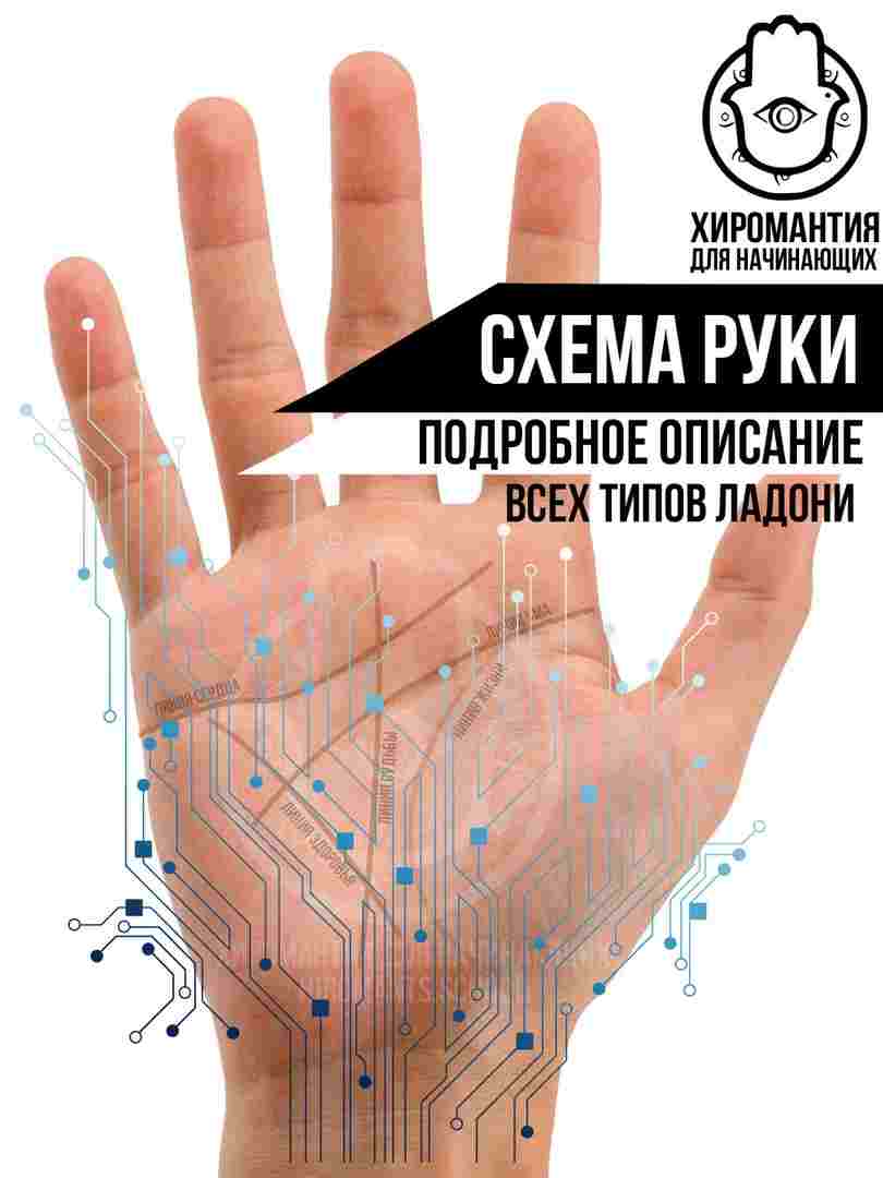 stroenie-ruki-hotya-forma-stroeniya-ruki-glavnym-obrazom-pokazyvaet-silu-fizicheskih-strastej-odnako-ona.jpg