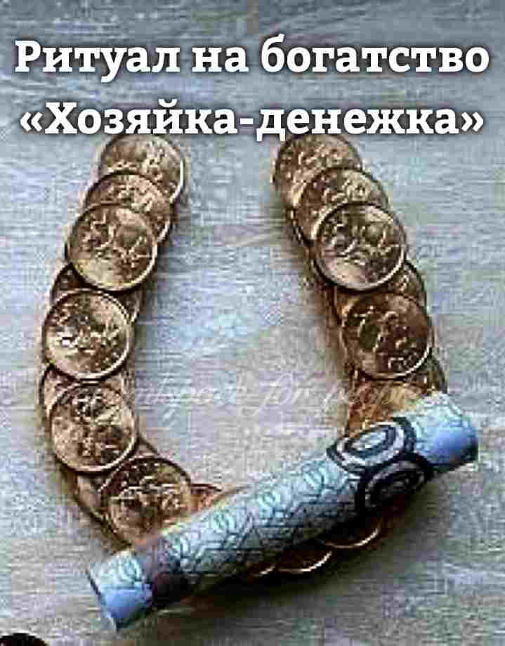 ritual-na-bogatstvo-hozyajka-denezhka-na-rol-hozyajki-podojdyot-lyubaya-rabochaya-moneta-pobyvavshaya-v-upotreblenii.jpg