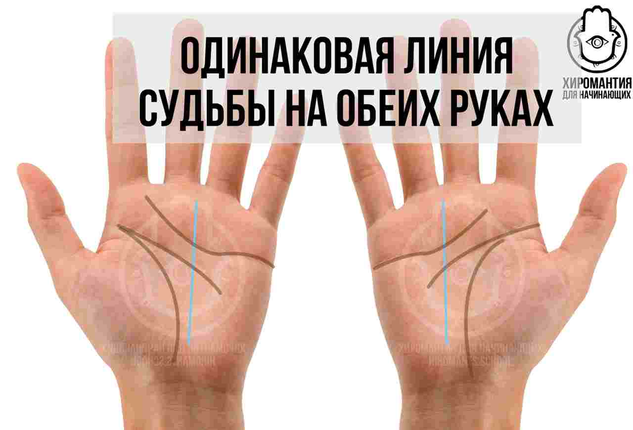 liniya-sudby-na-ruke-neotvratimost-roka-ili-sposob-najti-svoj-istinnyj-put-ch1.jpg