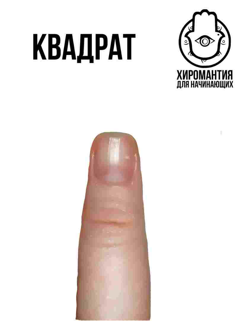 konchik-bolshogo-palcza-malo-kto-iz-sovremennyh-hiromantov-polzuetsya-sistemoj-klassifikaczii-ruk-darpentini-no.jpg