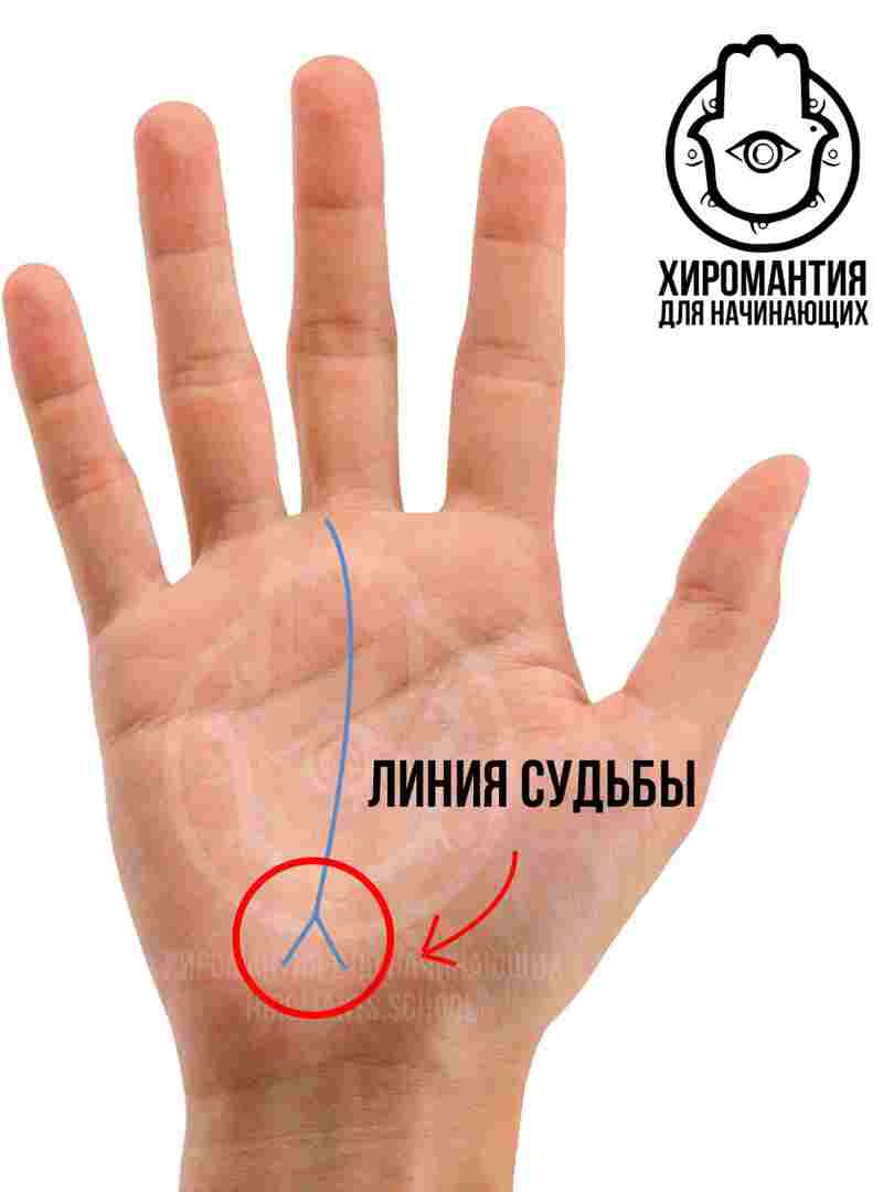 liniya-sudby-na-ruke-neotvratimost-roka-ili-sposob-najti-svoj-istinnyj-put-ch1.jpg