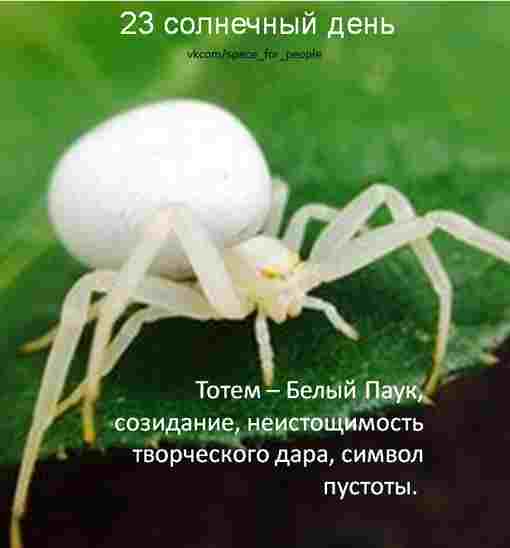 solnechnyj-kalendar-na-segodnya-10-avgusta-2022-23-solnechnyj-den-posvyashhen-hranitelyam-granicz-mezhdu.jpg