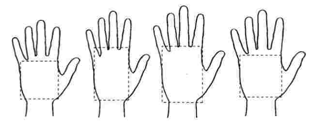 Основные формы руки: квадрат и прямоугольник Ладони по форме можно разделить на квадратные и…