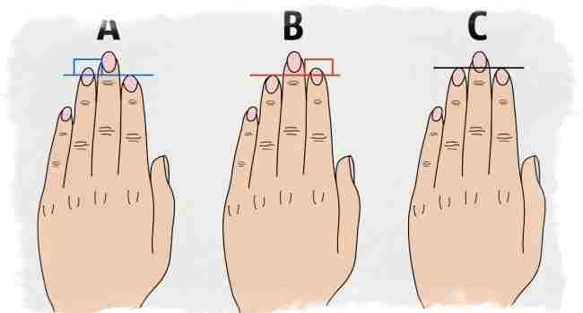 tolstye-dlinnye-ili-krivye-palczy-na-rukah-kak-uznat-harakter-ch3-dlina-palczev.jpg
