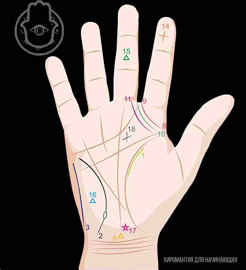 redkie-znaki-na-ruke-hiromantiya-ch1-1-liniya-angela-hranitelya-v-hiromantii-eta-liniya-imeet.jpg