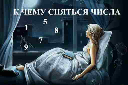 numerologiya-k-chemu-snyatsya-chisla-esli-vam-prisnilos-kakoe-to-chislo-vy-vsegda-mozhete-poluchit.jpg