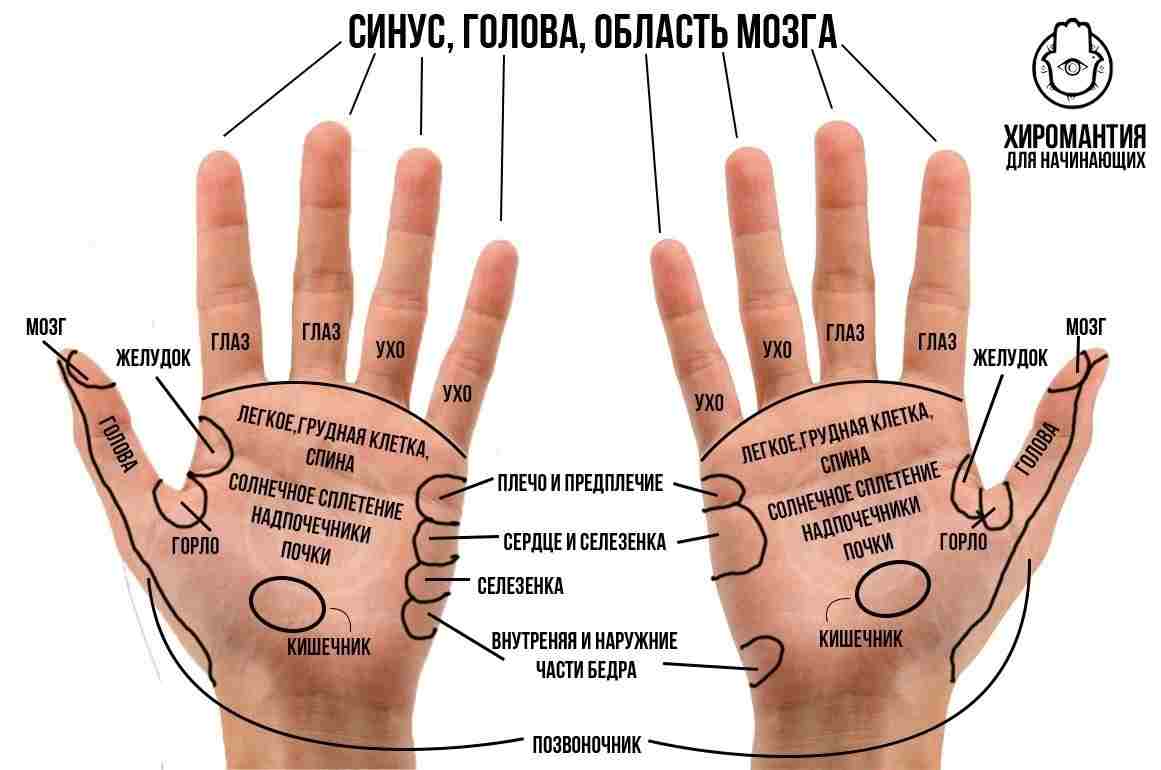 ruki-kotorye-lechat-v-drevnej-greczii-ruki-i-bozhestvennye-sily-byli-sinonimami-naprimer-bog.jpg