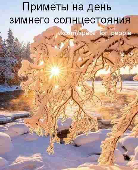 primety-v-den-zimnego-solnczestoyaniya-22-dekabrya-2023-esli-v-den-zimnego-solnczestoyaniya-derevya.jpg