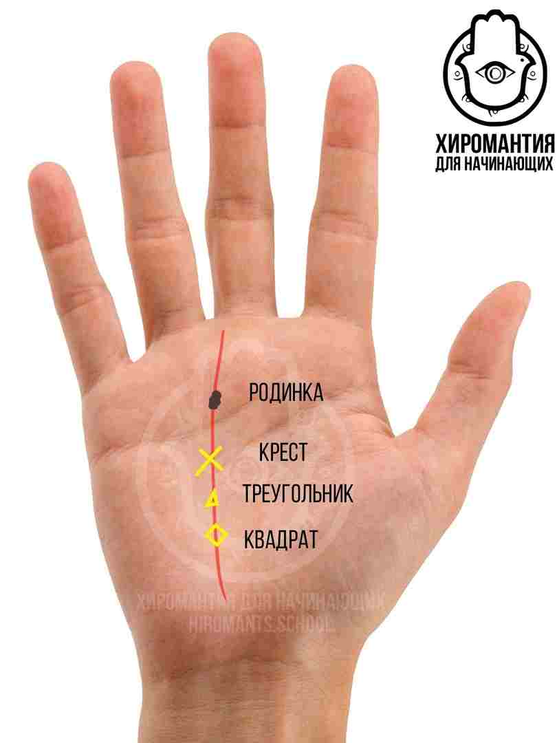 liniya-sudby-na-ruke-neotvratimost-roka-ili-sposob-najti-svoj-istinnyj-put-ch2.jpg