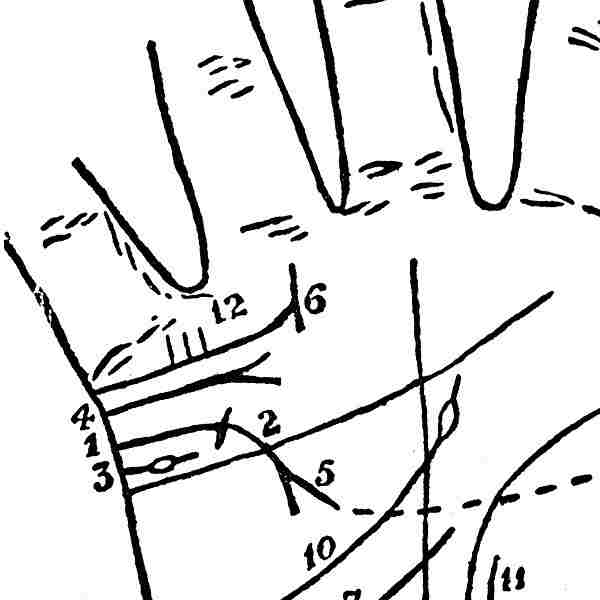 vidy-linij-braka-i-ih-rasshifrovka-na-ladoni-s-razyasneniyami-v-kartinkah-priznaki-neudach.jpg