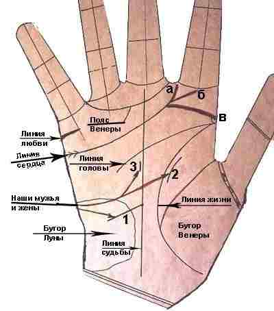 vozmozhnosti-hirologii-ne-obnovlyalis-znaniya-po-liniyam-i-znakam-na-rukah-tk-traktovka-ih.jpg