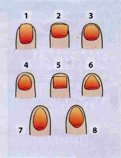 kak-opredelit-harakter-po-nogtyam-forma-nogtya-1-vy-lyuboznatelnyj-chelovek-otkrytyj-dlya-vsego.jpg