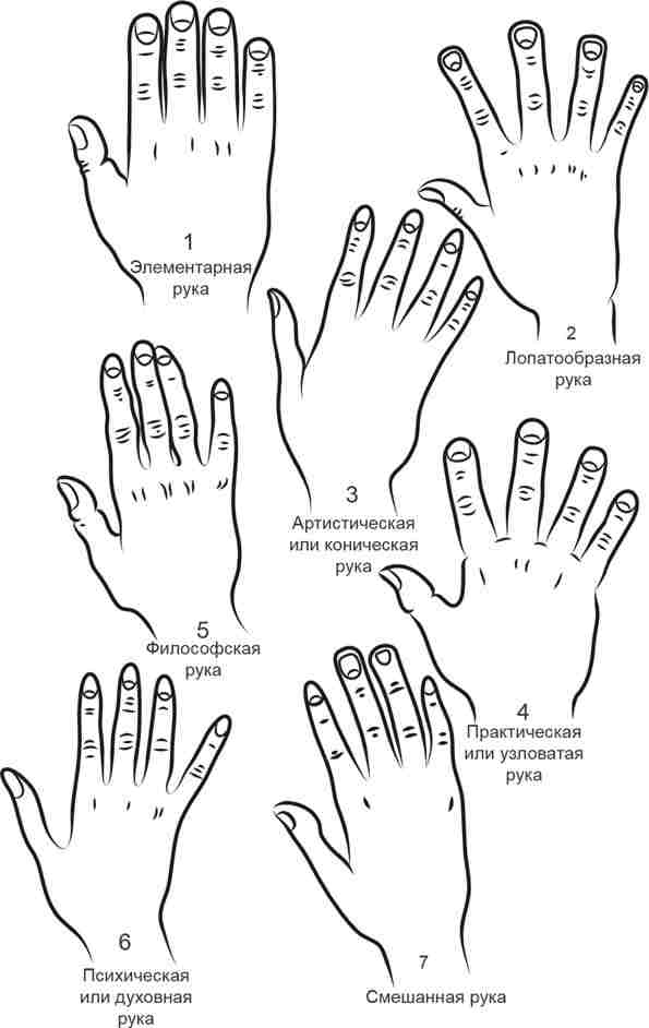 chto-ruki-mogut-rasskazat-o-vashem-haraktere-esli-razmery-ruki-proporczionalny-drugim-chastyam.jpg