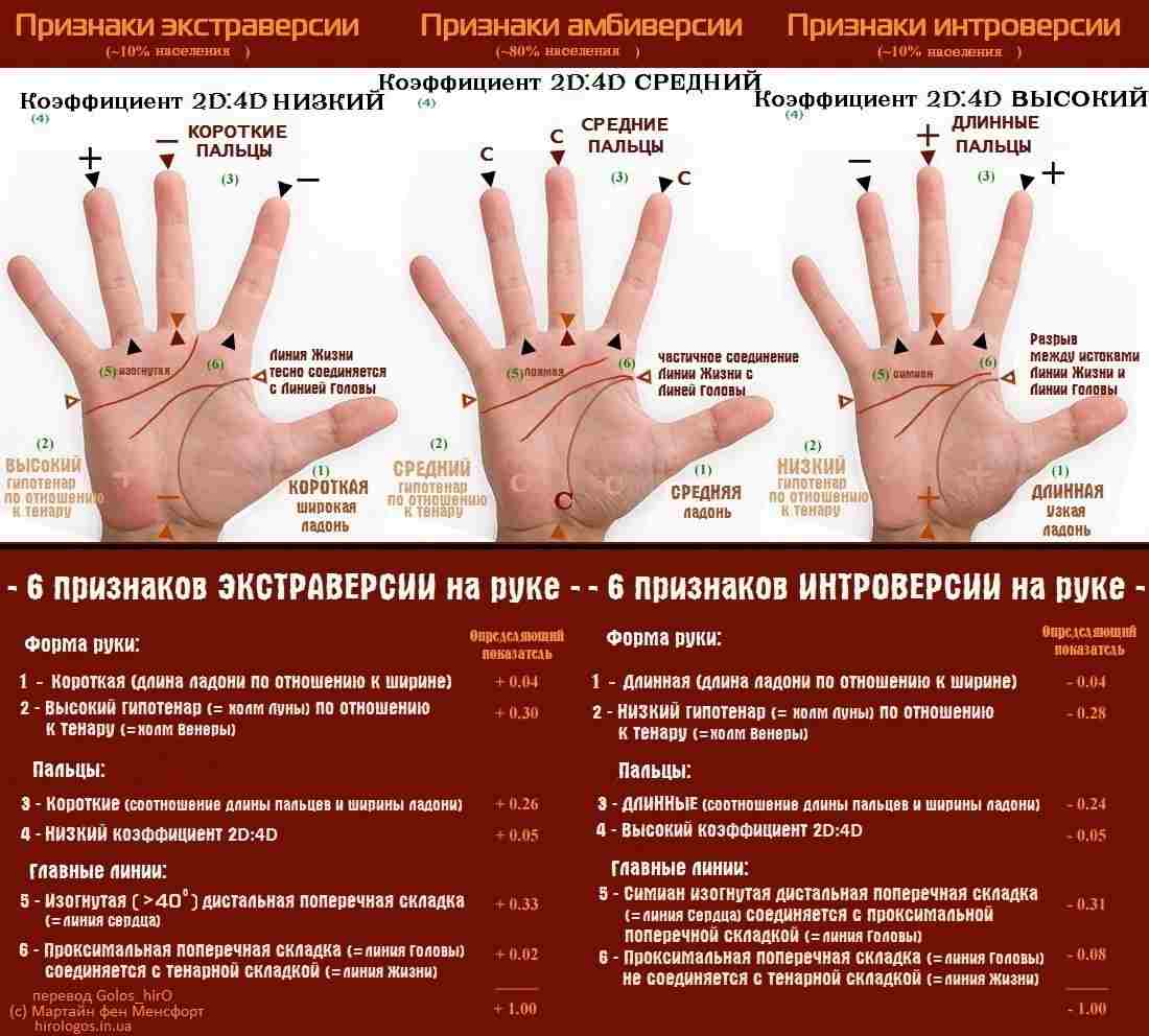 kak-opredelit-po-ruke-ekstravert-ili-introvert-pered-vami-martin-van-mensvort-hirolog.jpg