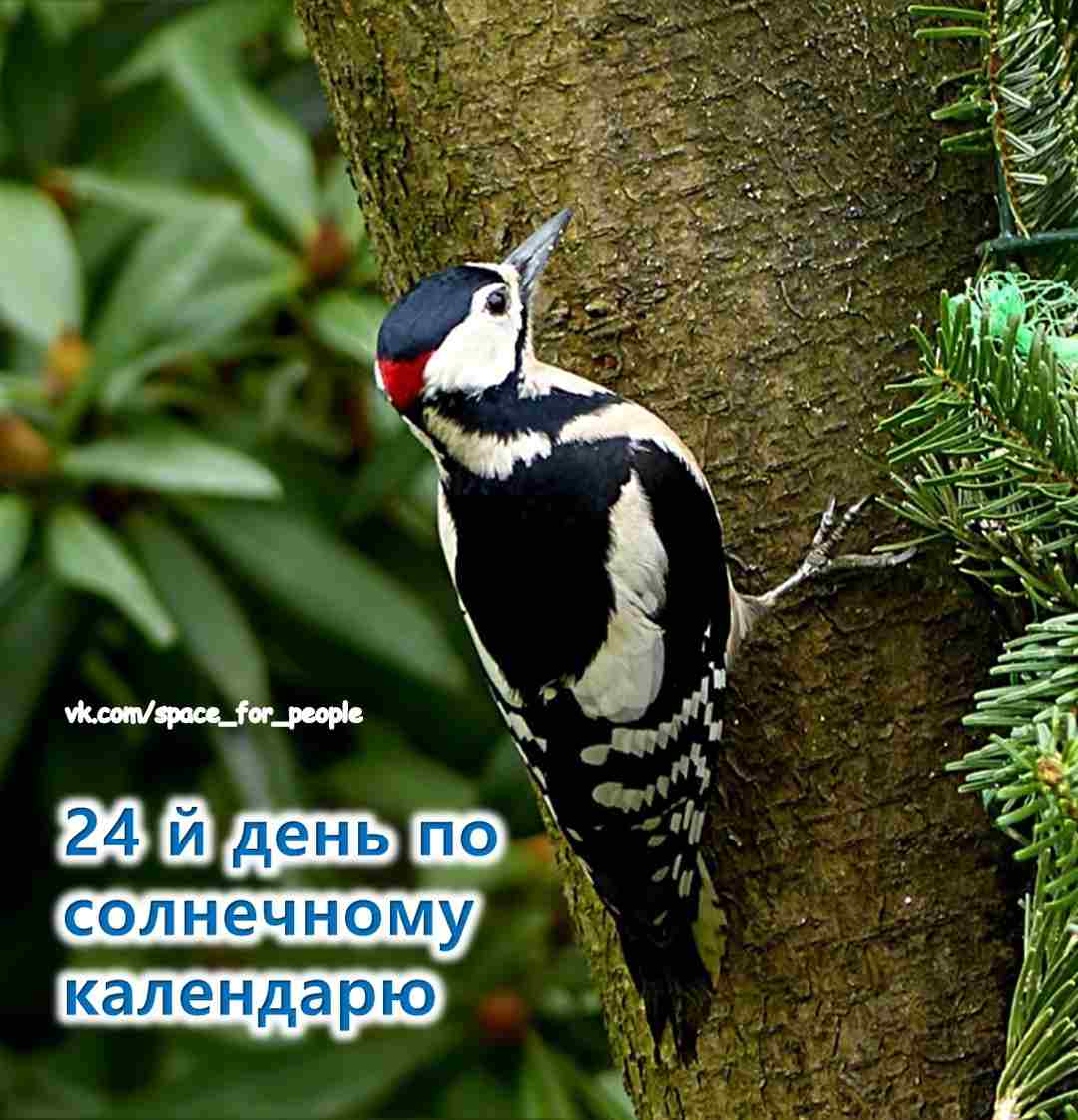 11-avgusta-24-solnechnyj-den-svyazan-s-veroj-eto-den-proverki-na-prochnost.jpg