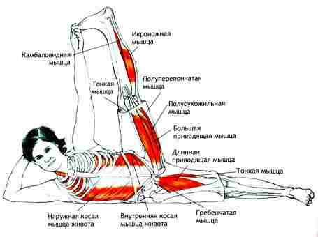 anantasana-pokazaniya-boli-v-spine-nebolshie-iskrivleniya-pozvonochnika-ozhirenie-stress-protivopokazaniya-travmy-spiny-i.jpg