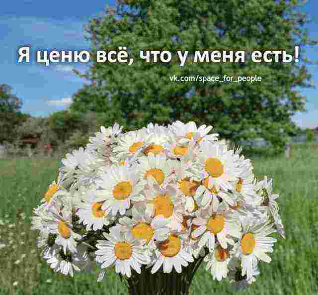 Аффирмация перед сном: