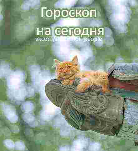 goroskop-na-26-iyulya-2024-goda-dlya-vseh-znakov-zodiaka-segodnya-impulsivnost-luny-v.jpg
