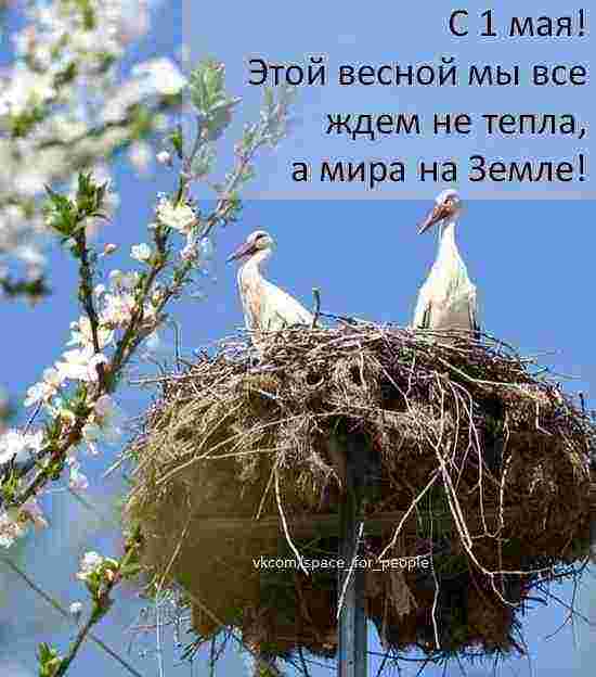 s-vozrozhdeniem-vesny-s-1-maya.jpg
