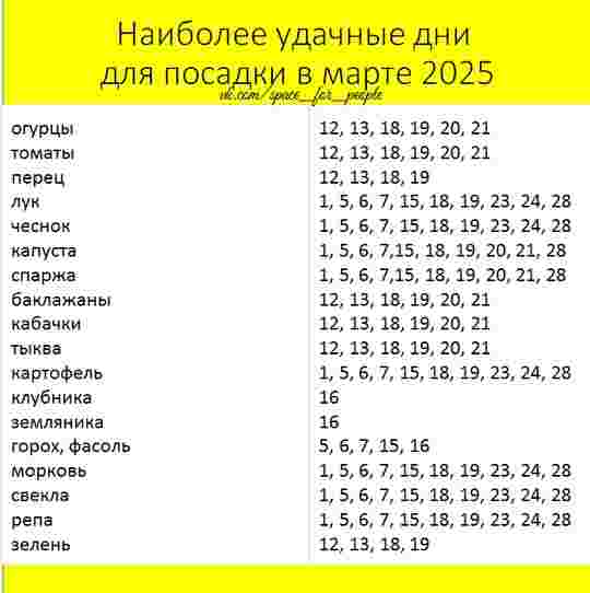 v2seb85jbsvpjag-ho-j55plo3phu8vu3gz-pq0b-woy8poi48ojr4ud4dj0pv596bpopqhfzubgyjdomacruajw.jpg