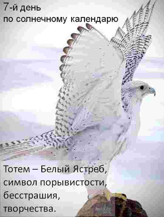 20-fevralya-7-solnechnyj-den-denzhivoj-vody-eto-vremya-ukrepleniya-tradiczij-nailuchshij.jpg