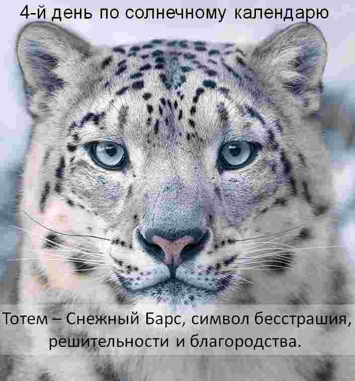 23-aprelya-4-solnechnyj-den-eto-den-astralnogo-voinstva-sozdayushhego-nashu-zashhitu.jpg