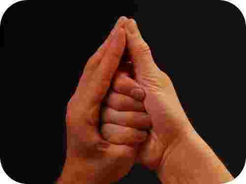 shankh-mudra-napominaet-rakovinu-rakoviny-tradiczionno-ispolzuyutsya-v-induistskih-hramah-dlya-pokloneniya-shankh-mudra-pomogaet.jpg