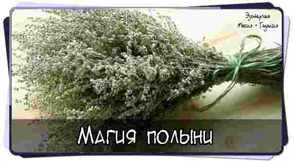magiya-polyni-sorvu-tebya-polyn-chtob-ne-ustat-v-puti-polyn-odno-iz.jpg