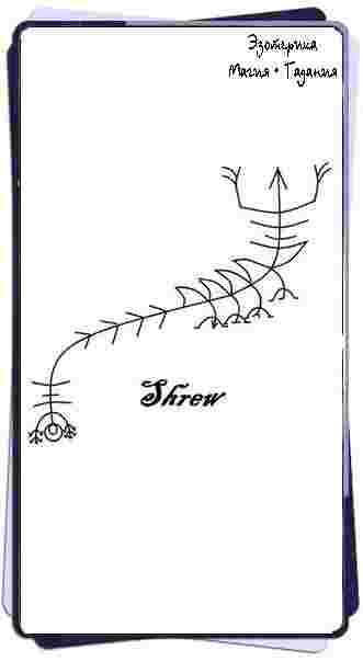 scolopendra-gigantea-gigantskaya-skolopendra-avtor-shrew-vot-takaya-mnogonozhka-kushaet-sushhej-mozhno-zaslat-kak.jpg