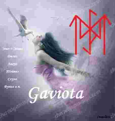 gaviota-stav-samotransformaczii-i-perehoda-na-novyj-uroven-avtor-insolate-stav-samotransformaczii-i.jpg