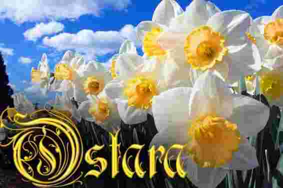 ostara-eto-neoyazycheskij-prazdnik-vesennego-ravnodenstviya-sozdannyj-po-podobiyu-drevnih-keltskih-prazdnikov-sostavlyavshih.jpg