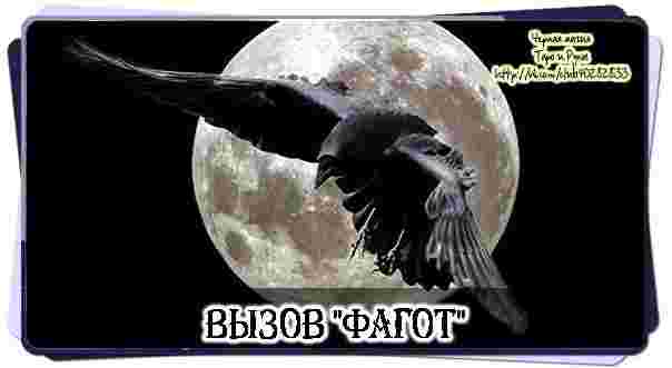vyzov-fagot-chitat-v-okno-fagot-zhgi-serdcze-telo-dushu.jpg