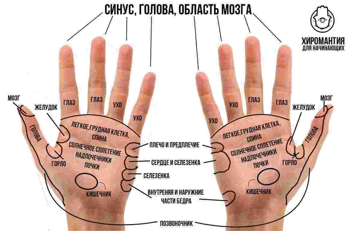 ruki-kotorye-lechat-v-drevnej-greczii-ruki-i-bozhestvennye-sily-byli-sinonimami-naprimer-bog.jpg