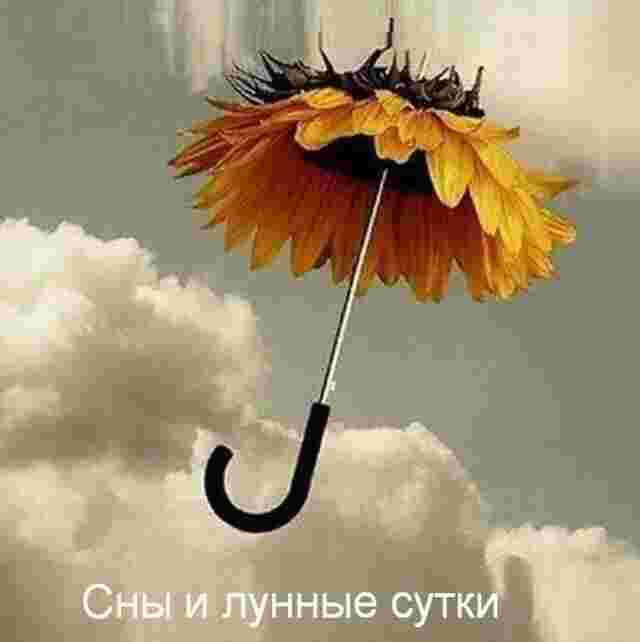 20 лунный день c 18:18 по 18:58 Снам этого дня не свойственно сбываться. Они…