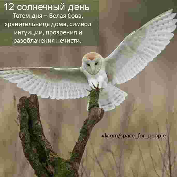 solnechnyj-kalendar-na-31-maya-2026-12-solnechnyj-den-svyazan-s-lunoj-posvyashhen-zhenskomu.jpg