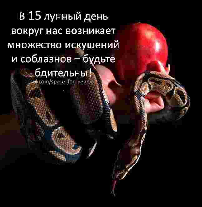 15-lunnyj-den-c-2108-po-2144-simvol-zmeya-kamni-agat-gagat.jpg