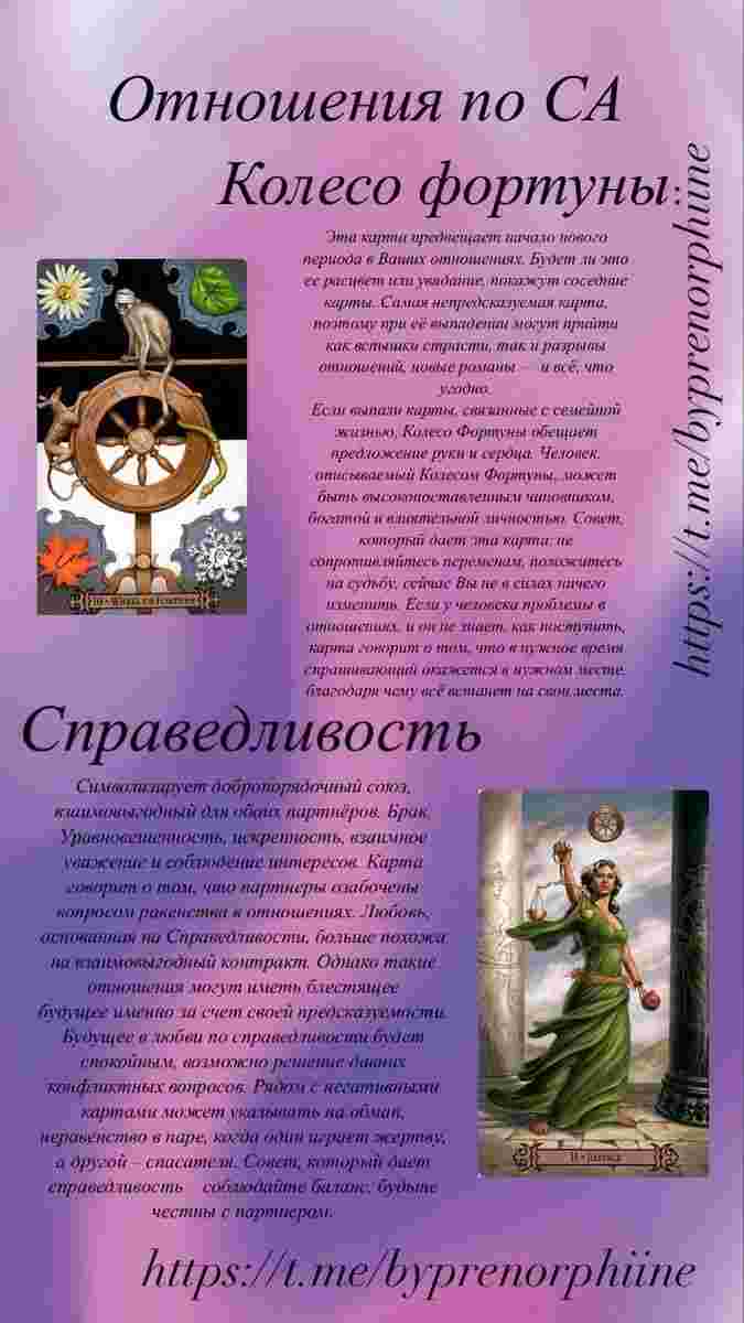 otnosheniya-po-sa.jpg
